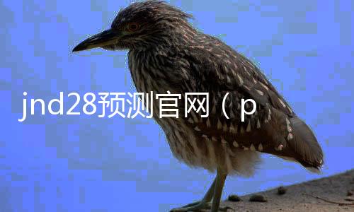 jnd28预测官网(pc28预测攻略) jnd28预测官网(pc28预测攻略)